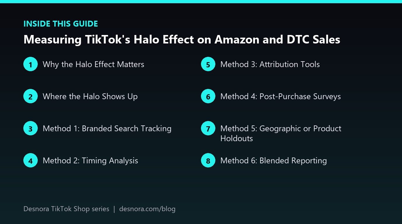Overview of the main sections covered in Measuring TikTok's Halo Effect on Amazon and DTC Sales